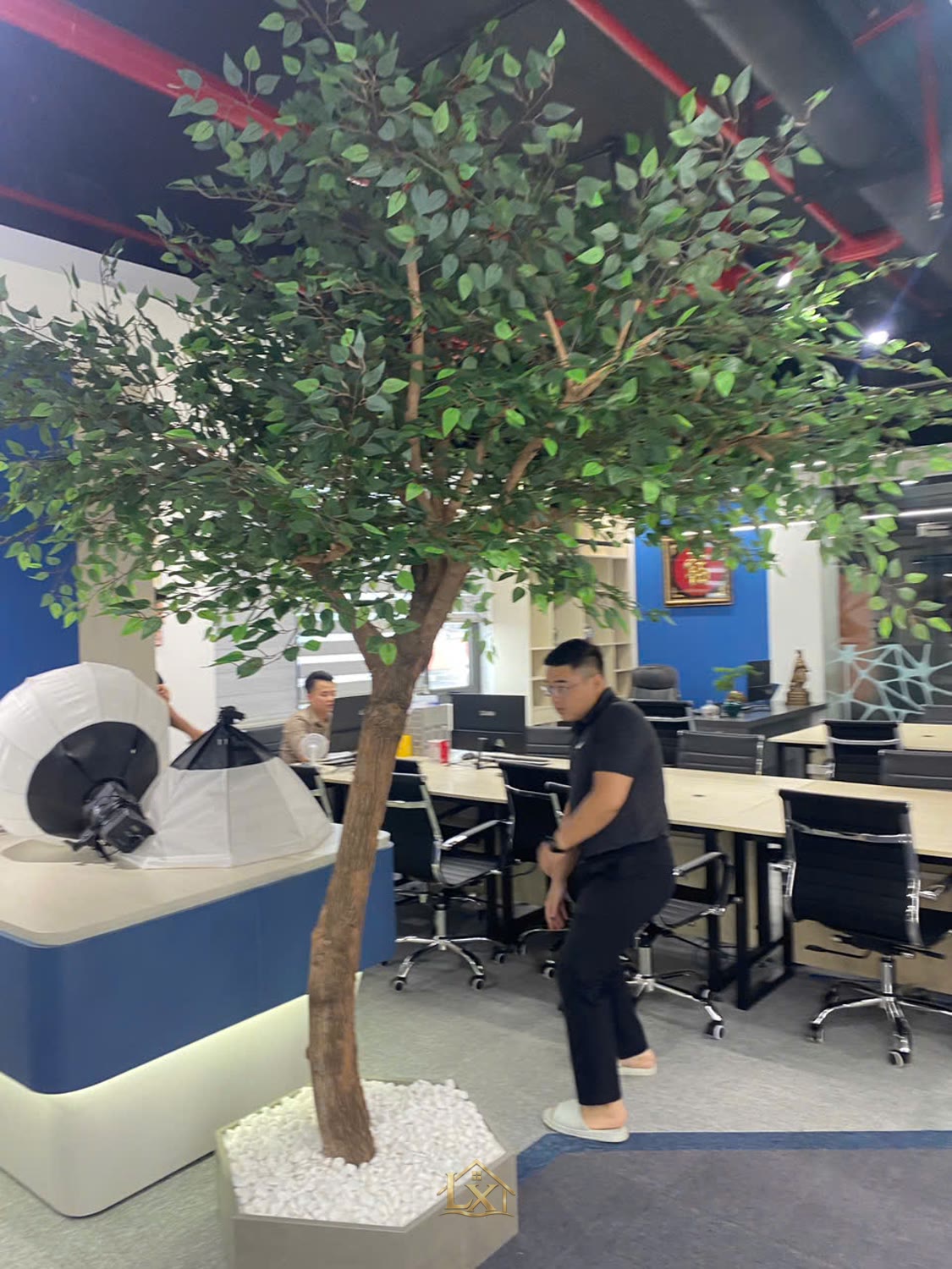 Thi công nội thất văn phòng tại Xuân La chọn đơn vị nào uy tín?